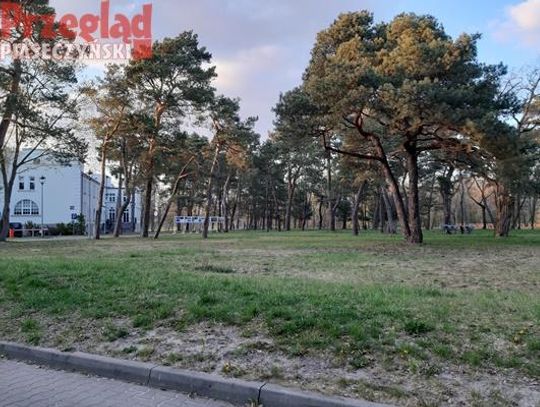 Parkowe działki bez zabudowy