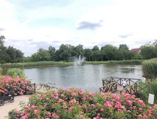 Piaseczno liderem w rankingu miejsc, gdzie żyje się najlepiej