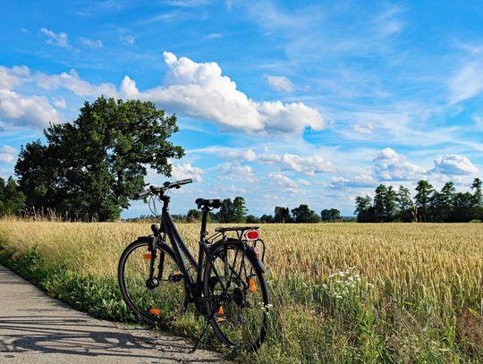 Piaseczyńskie trójmiasto na rowerze