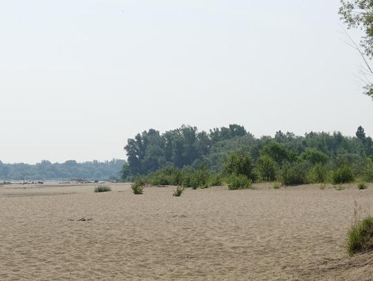 Plaża w Ciszycy zamknięta dla odwiedzających. To teren chroniony