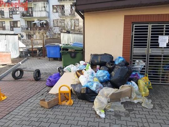 Początki mogą być trudne