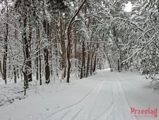 Pogoda w Piasecznie – zimowe dni z opadami śniegu i deszczu