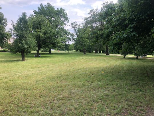 Pogodowe zmiany w Piasecznie - co przyniosą najbliższe dni?