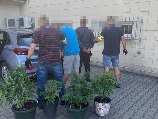 Policja przerwała narkotykowy handel w Wólce Kosowskiej Policja przerwała narkotykowy handel w Wólce Kosowskiej
