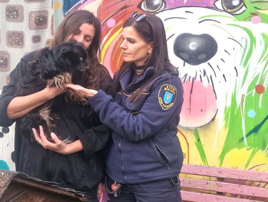 Pomóż zwierzętom ze schroniska w Czaplinku