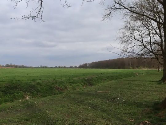 Pomysł na ochronę Łąk Oborskich