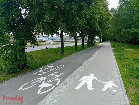 Rusza budowa prawie 14 km nowych tras rowerowych w Piasecznie [AKTUALIZACJA]