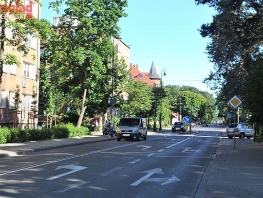 Ponad 200 nowych drzew