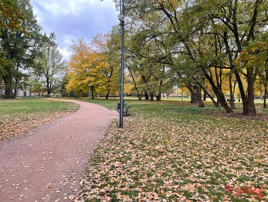 Prognoza pogody dla Piaseczna – opady i niższe temperatury w nadchodzących dniach