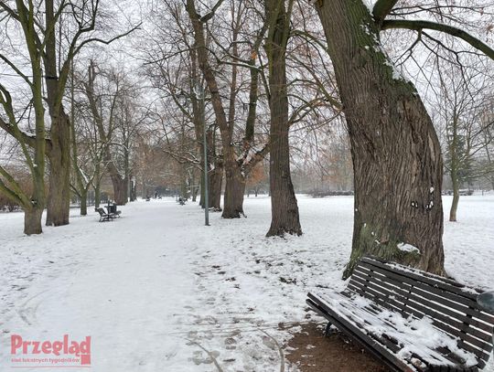 Prognoza pogody na weekend – niskie temperatury i bezchmurne niebo
