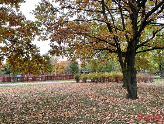 Prognoza pogody w Piasecznie: deszcz, wiatr i delikatny wzrost temperatur