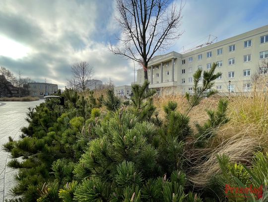 Prognoza pogody w Piasecznie – nadchodzące dni z zimowym chłodem Prognoza pogody w Piasecznie – nadchodzące dni z zimowym chłodem