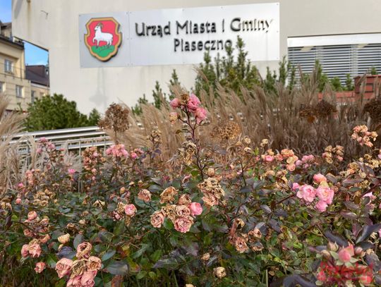 Prognoza pogody w Piasecznie – zimowe dni i przelotne ocieplenie Prognoza pogody w Piasecznie – zimowe dni i przelotne ocieplenie