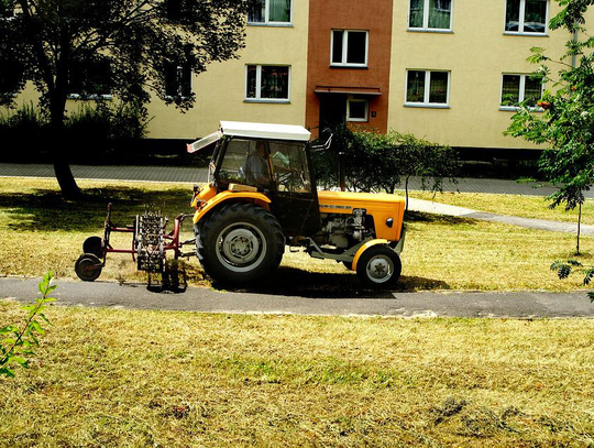 Przeklinasz koszących trawę? Słusznie, czy nie?