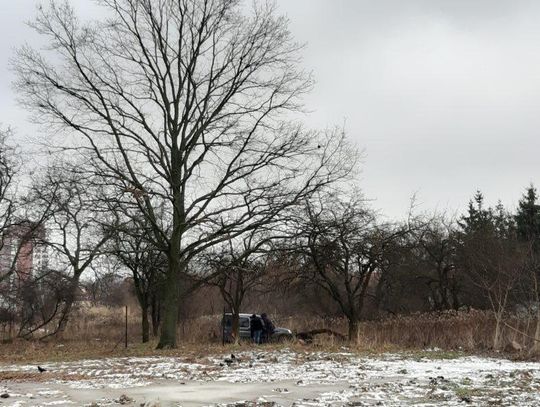 Przestępstwa (raczej) nie było