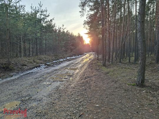 Przewidywana pogoda w Piasecznie – nadchodzą dni pełne zmian