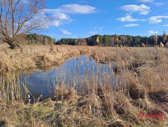 Przyjemna pogoda w Piasecznie – co przyniesie weekend?