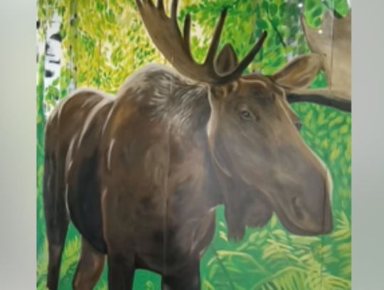 Przystanki w Łosiu zyskały nowe murale. To kolejna odsłona „Przystanku Sztuki”