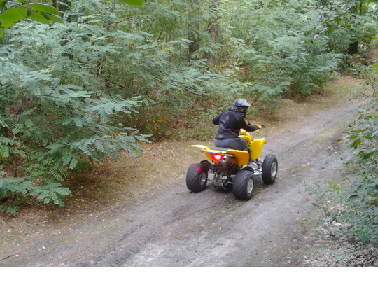 Quady i crossy niszczą lasy!