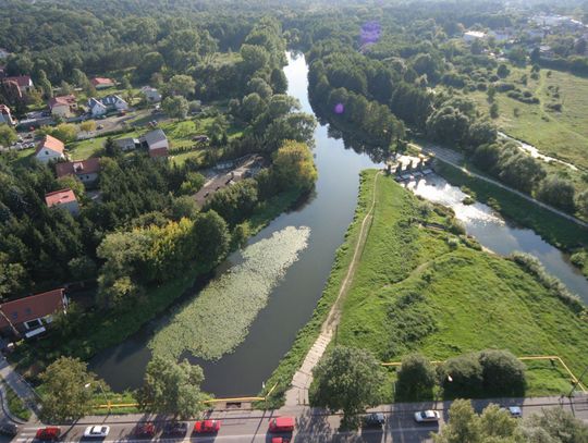 Dolina Jeziorki w Konstancinie-Jeziornie. RDOŚ wskazuje, że Rozlewiska Rzeki Jeziorki, znane jako Bielawski Ług, mają wysokie walory przyrodnicze. Zdjęcie ilustracyjne