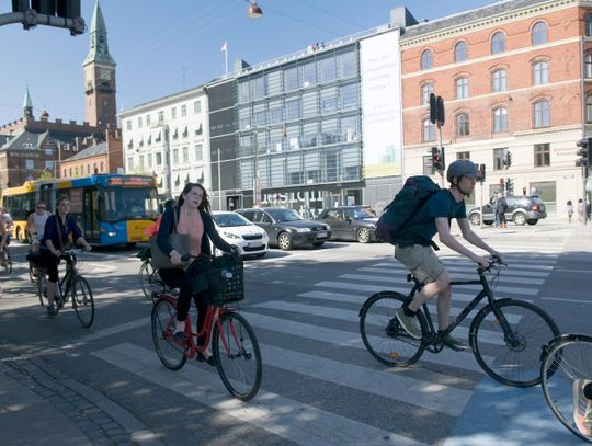 Rośnie popularność roweru jako środka transportu