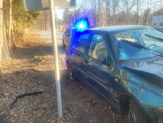 Rozbił auto i winą obarczył… sarny
