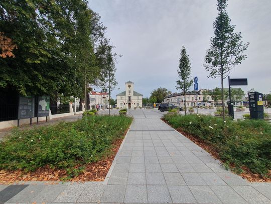 Rynek się zazielenił