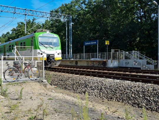 Ścieżka rowerowa od stacji kolejowej Zalesie Górne do Warszawy Służewiec