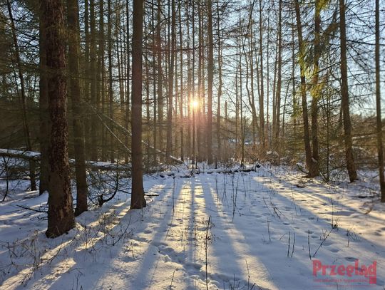 Silne mrozy w Piasecznie — prognoza na nadchodzące dni