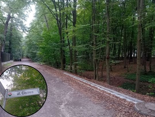 Słupki, szlaban i latarnie – propozycje dla Zalesia Dolnego