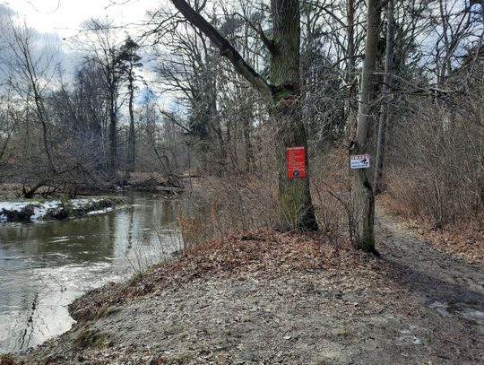 Spacerem nad Jeziorką