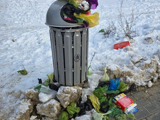 Spór o kosze uliczne w Lesznowoli