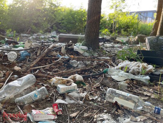 Sterty śmieci tuż obok galerii N‑Park. Wieloletni problem w Starej Iwicznej