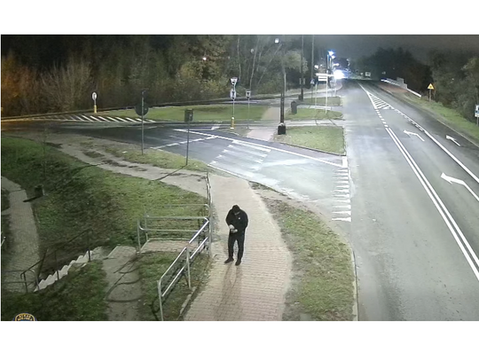 Straż miejska szuka sprawcy kradzieży kwiatów Straż miejska szuka sprawcy kradzieży kwiatów