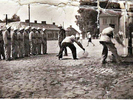 Studnie w Piasecznie i badania doktora Palmirskiego