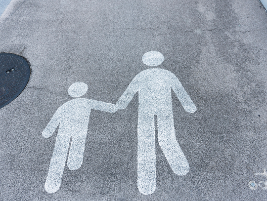 Szarych Szeregów do poprawki?