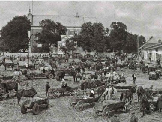 Tarczyn na szali historii