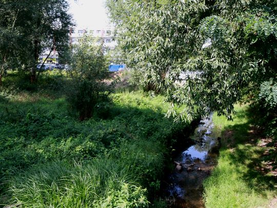 Trakt nad Perełką zyska nowe oblicze