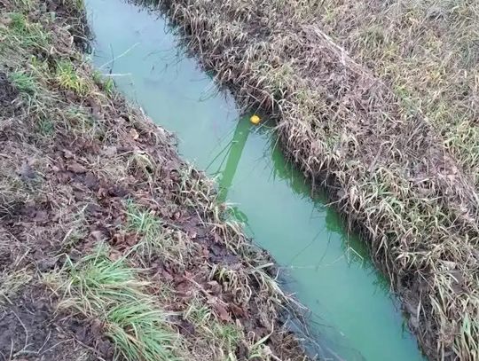 Trwa ustalanie źródła zanieczyszczeń Kanałku Jeziorki