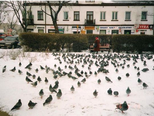 Tu zaszła zmiana – Rynek