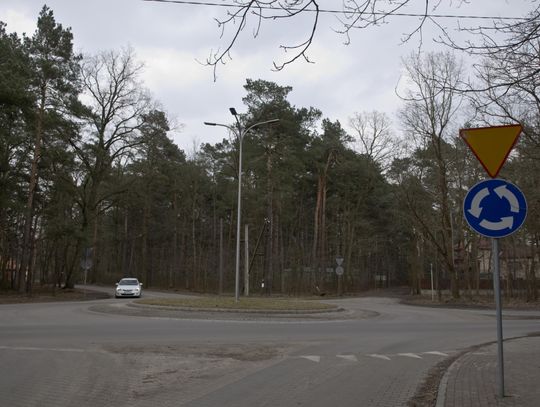 Wiekowa Sosna wygrała