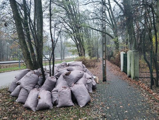 Wstrzymany odbiór bioodpadów w Piasecznie