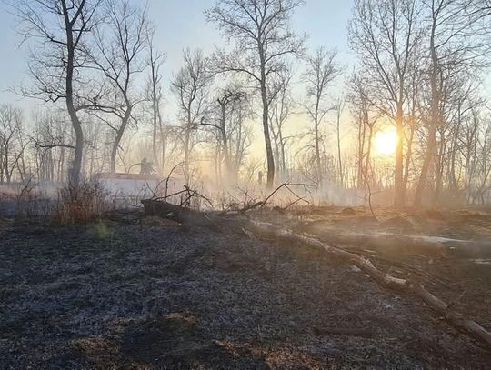 Wypalanie traw nadal problemem