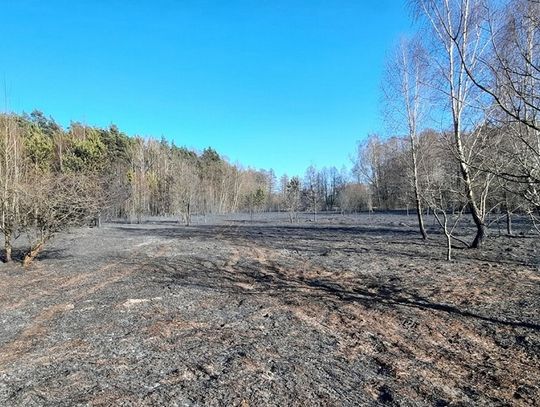 Wypalanie traw niesie śmierć i zniszczenie