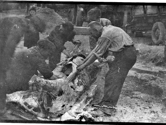 Z pamiętnika pani Leokadii, czyli historia kamienicy Poncyliuszów - część 4