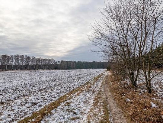 Zabójstwo sprzed 11 lat. CBŚP poszukuje świadków