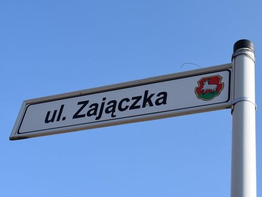 Zającowaty czy generał?