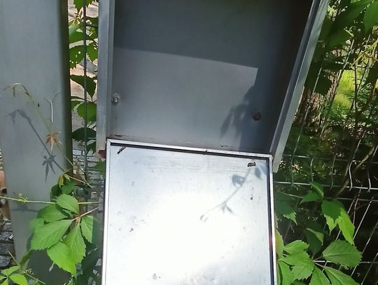 Zalesiańskie problemy z pocztą