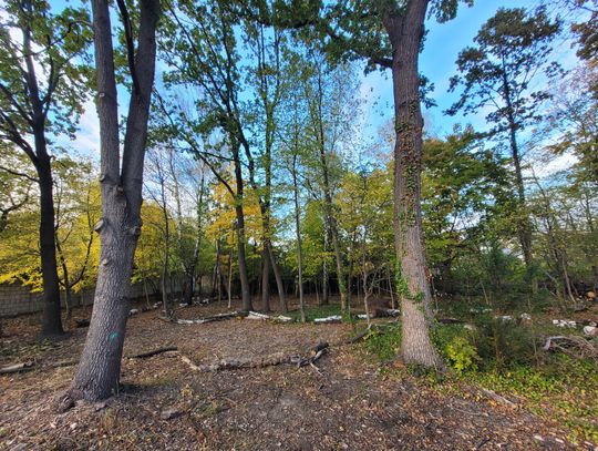 Zieleń dla wszystkich Zieleń dla wszystkich