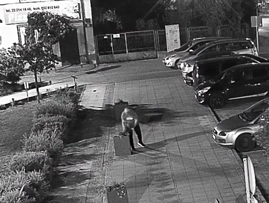 Znów kradną kwiaty w Górze Kalwarii